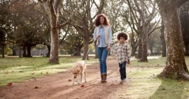 Anne, oğul ve gezgin köpek kırsalda, evcil hayvan için parkta ya da patikada bağ kuruyor ve egzersiz yapıyor. Kadınlar, erkekler ve hayvanlar için sağlık, sevgi ve destek için el ele tutuşmalar..