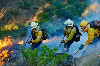 Yangın, orman ve acil durumlar için ekip çalışması, felaket yönetimi ve çalılıklarda hasar kontrolü. Dağ, alev ve itfaiyeciler, gönüllü kurtarma ve doğa korumada güvenlik.
