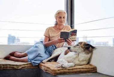 Kıdemli kadın, kitap okuyor ve köpekle birlikte kanepede dinleniyor. Öğrenme, bilgi ya da birlikte oturma odasında rahat etmek için. Hayvan, hikaye ve evcil hayvanı hobi, edebiyat ya da huzur olan yaşlı bir insan..