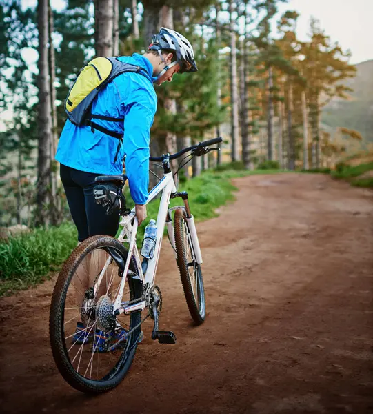 stock image Walking, forest and cyclist with flat tire on bicycle for problem, maintenance or repair. Nature, back view and man with wheel puncture for physical activity, outdoor hobby or cardio training.