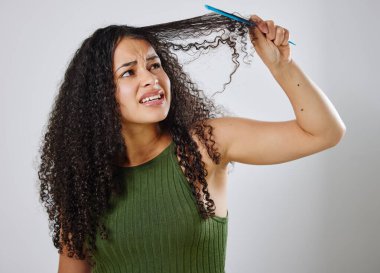 Messy hair, knot and frustrated woman with comb in studio for tangle, stress and problem on grey background. Curly, haircare and model annoyed with brushing fail, damage or styling hairloss results. clipart