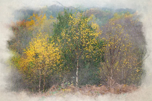 日の出のデジタル水彩画 そして黄金の秋の秋の木と葉の色ダウンバンク バラスト スタッフォードシャー — ストック写真