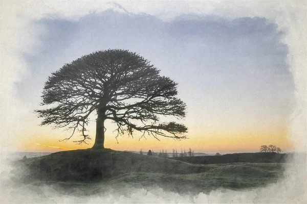 stock image A digital watercolor painting of a lone tree at sunrise on Grindon Moor, Staffordshire, White Peak, Peak District National Park, UK.