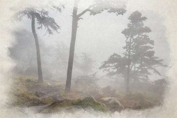 Brume Brouillard Aux Roaches Une Aquarelle Numérique Forêt Hiver Dans — Photo
