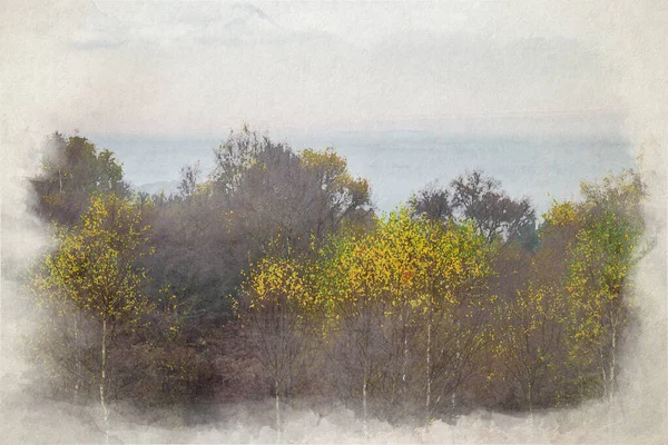 Uma Pintura Aquarela Digital Nascer Sol Cores Douradas Das Árvores — Fotografia de Stock