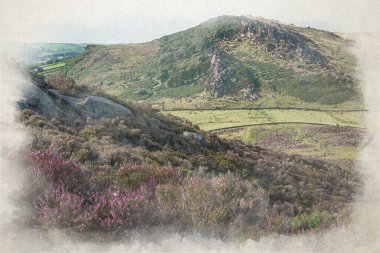The Roaches, Staffordshire 'daki Pak District Ulusal Parkı' ndaki Hen Cloud 'dan Mor Heather' ın dijital suluboya tablosu..