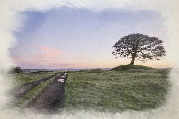 英国のピーク地方国立公園 ホワイトピーク スタフォードシャー州グラインドモーターの日の出に一本の木のデジタル水彩画 — ストック写真