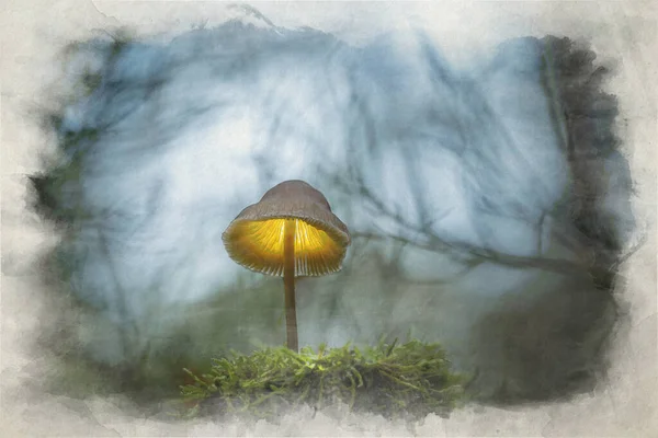 A digital watercolour painting of fantasy mushrooms glowing in a dark magical enchanted woodland.