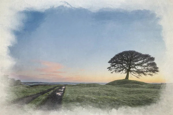 Digital Watercolor Painting Lone Tree Sunrise Grindon Moor Staffordshire White Stock Image