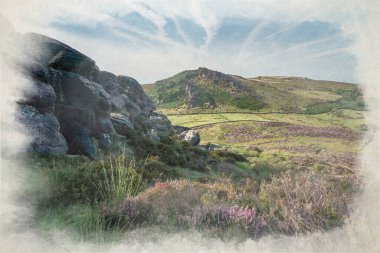 The Roaches, Staffordshire 'daki Pak District Ulusal Parkı' ndaki Hen Cloud 'dan Mor Heather' ın dijital suluboya tablosu..
