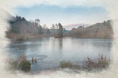 Cannock Chase 'deki ormanların ve balıkçı göllerinin dijital suluboya tablosu. Staffordshire, İngiltere 'de olağanüstü bir doğal güzellik alanı..