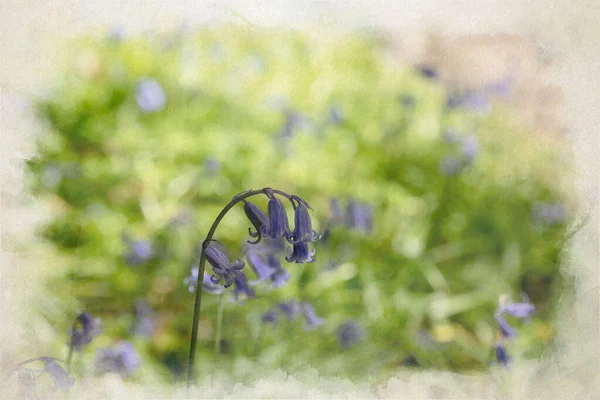 Ψηφιακή Ακουαρέλα Μωβ Λουλούδια Φόντο Δάσους Χρησιμοποιώντας Ένα Ρηχό Βάθος — Φωτογραφία Αρχείου