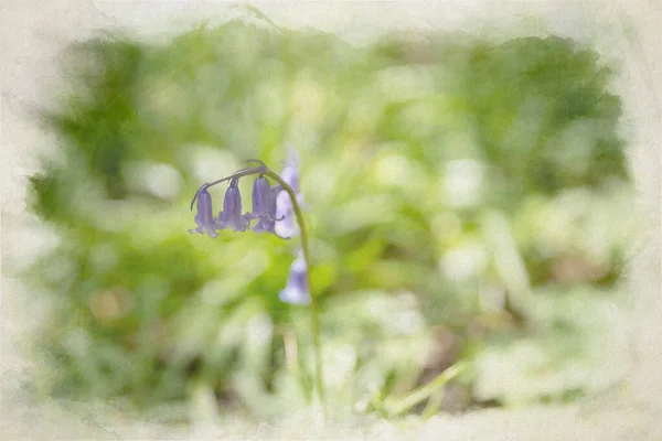 Ψηφιακή Ακουαρέλα Μωβ Λουλούδια Φόντο Δάσους Χρησιμοποιώντας Ένα Ρηχό Βάθος — Φωτογραφία Αρχείου