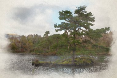 İngiliz Lake District 'teki Tarn Hows' da güzel ve karamsar sabah resminin dijital bir suluboya resmi. Yewdale Crag ve Holme Fell 'in sonbahar manzarası var..
