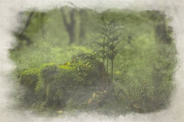 Swineholes ahşabının dijital suluboya resmi. Canlı bir yeşil karamsar, göksel İngiliz Orman Ağaçları, ve sığ bir alan derinliği olan yeşillik.