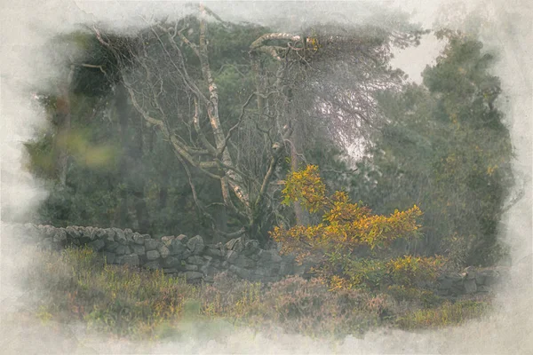 Pintura Digital Acuarela Madera Swineholes Vibrante Otoño Malhumorado Árboles Forestales — Foto de Stock