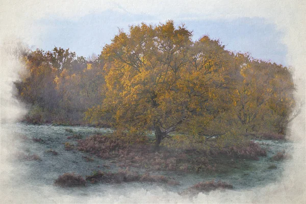 Ein Digitales Aquarell Von Sonnenaufgang Und Goldenen Herbstbaum Und Blattfarben — Stockfoto