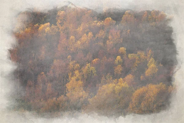 Digital Watercolour Painting Sunrise Golden Autumnal Fall Tree Leaf Colours — Stock Photo, Image