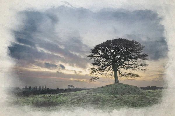 stock image A digital watercolor painting of a lone tree at sunrise on Grindon Moor, Staffordshire, White Peak, Peak District National Park, UK.