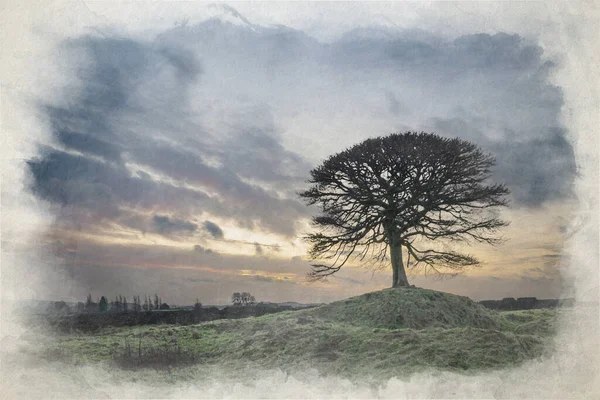 Digital Watercolor Painting Lone Tree Sunrise Grindon Moor Staffordshire White Stock Picture