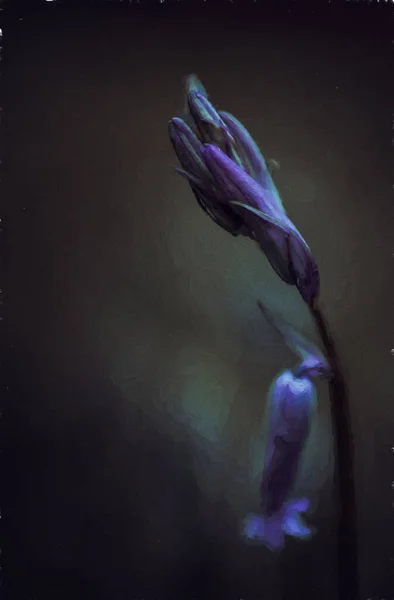 A digital oil painting of purple bluebell flowers in a magical, ethereal woodland setting using a shallow depth of field, and a cool moody colour pallet.