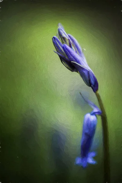 A digital oil painting of purple bluebell flowers in a magical, ethereal woodland setting using a shallow depth of field, and a cool moody colour pallet.