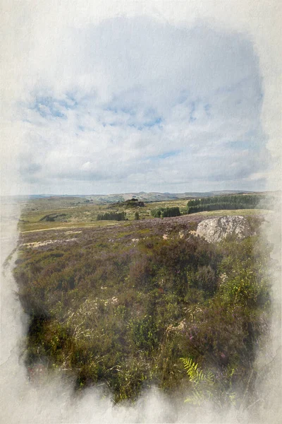 Cyfrowy Akwarelowy Obraz Purpurowego Wrzosowiska Lecie Gib Torr Karaluchy Parku — Zdjęcie stockowe