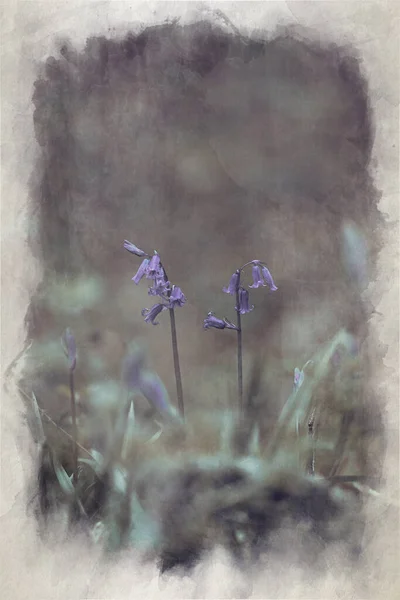 Digitális Akvarell Festés Lila Bluebell Virágok Ellen Erdős Háttér Egy — Stock Fotó