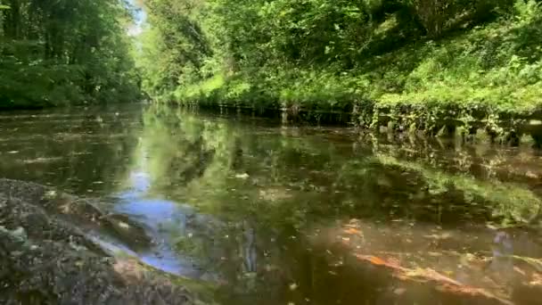 英国の晴れた夏の日にシュロップシャー連合運河水路に沿って移動する屋形船 狭いボート または運河のバージのPov映像 — ストック動画