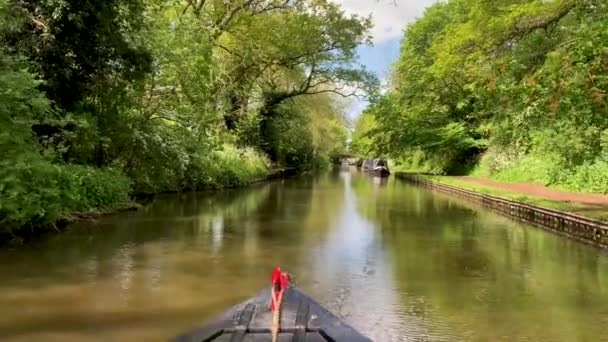 英国の晴れた夏の日にシュロップシャー連合運河水路に沿って移動する屋形船 狭いボート または運河のバージのPov映像 — ストック動画