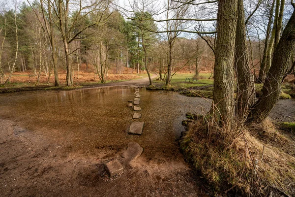 Kış boyunca Sherbrook Vadisi, Cannock Chase, Staffordshire, İngiltere 'deki Cellat Taşları olarak da bilinir..