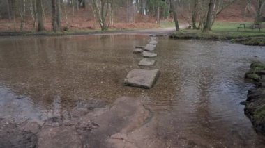 Su, Sherbrook Vadisi, Cannock Chase, Staffordshire, İngiltere 'deki basamak taşlarının yanından geçiyor..