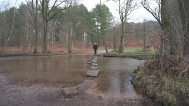 Adam durur ve Sherbrook Vadisi 'nde, Cannock Chase, Staffordshire, İngiltere' de kış boyunca yürüyen merdivenlere bakar..