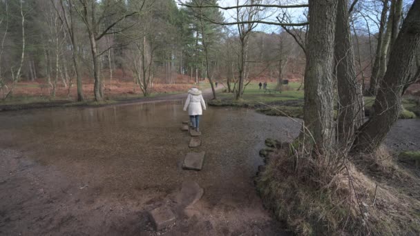 Cannock Chase Staffordshire England February 4Th 2024 Woman Walking Stepping — Stock Video