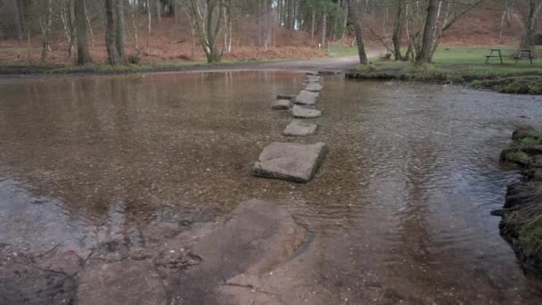 Water Flowing Stepping Stones Sherbrook Valley Cannock Chase Staffordshire Winter — Stock Video