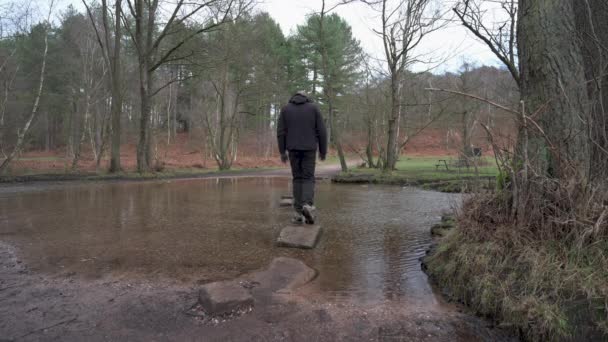 Man Walking Stepping Stones Sherbrook Valley Cannock Chase Staffordshire Winter — Stock Video
