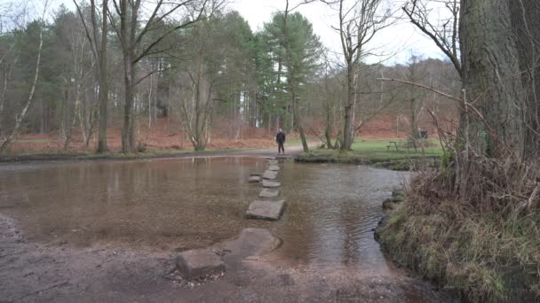 Man Wandelend Stepping Stones Bij Sherbrook Valley Cannock Chase Staffordshire — Stockvideo