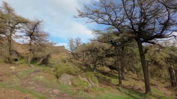 Roaches Peak District Ulusal Parkı Staffordshire Ngiltere Kırsal Manzara Manzarası — Stok video