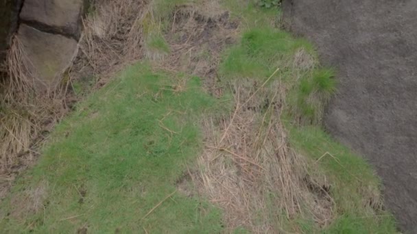 英国斯塔福德郡山顶地区国家公园的蟑螂园拍摄的旅游景致 — 图库视频影像