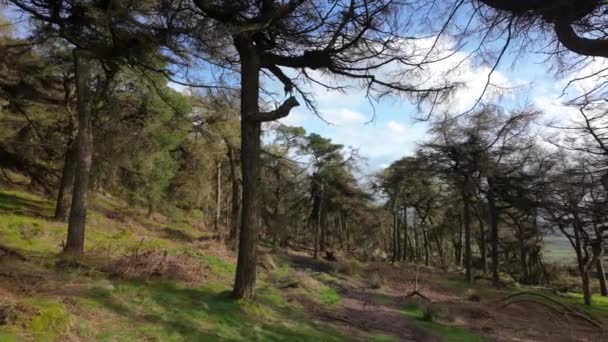 Rural Landscape Destination Scenic Roaches Peak District National Park Staffordshire — Stock Video