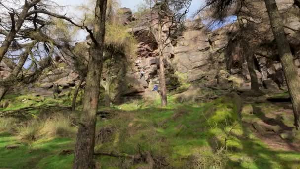 英国斯塔福德郡山顶地区国家公园 的石碑上登山者 — 图库视频影像