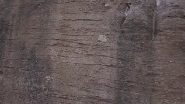 英国斯塔福德郡山顶地区国家公园的蟑螂园拍摄的旅游景致 — 图库视频影像