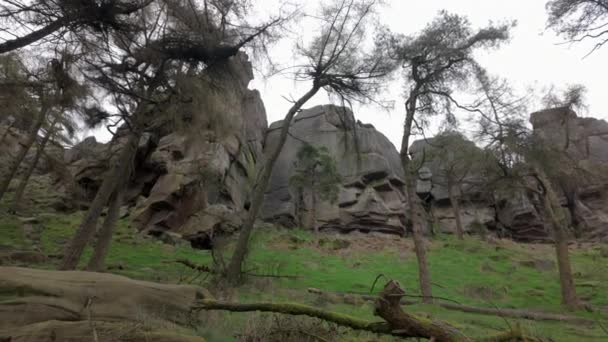 Destinační Scenérie Borových Lesů Kamenných Skal Roaches Národním Parku Peak — Stock video