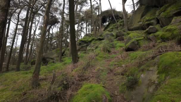 Etablera Skott Roaches Peak District National Park Staffordshire England Storbritannien — Stockvideo