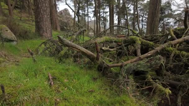 Roaches Peak District Ulusal Parkı Staffordshire Ngiltere — Stok video
