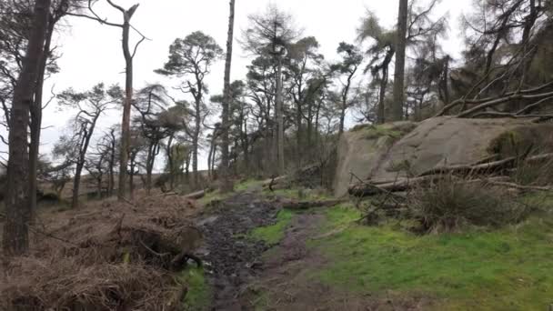 Point View Waterlogged Path Roaches Rural Landscape Peak District National — Stock Video