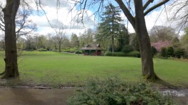 Longton Park 'ın, Stoke on Trent' in, güneşli bir bahar gününde rüzgarda esen ağaçların fotoğrafını çekiyoruz..