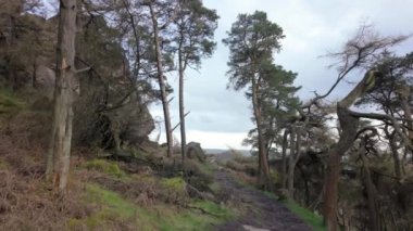 İngiltere 'nin Staffordshire, İngiltere' deki The Peak District Ulusal Parkı 'ndaki The Roaches' a bir bakış açısı..