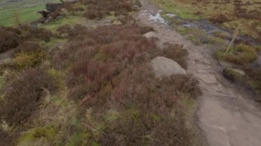 The Roaches in the Peak District Ulusal Parkı, İngiltere 'den sinemanın B-roll görüntüleri..