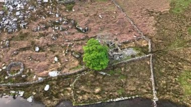 Hava aracı Llyn Dywarchen 'ın Eryri Ulusal Parkı, Galler' deki görüntülerini ortaya çıkardı..